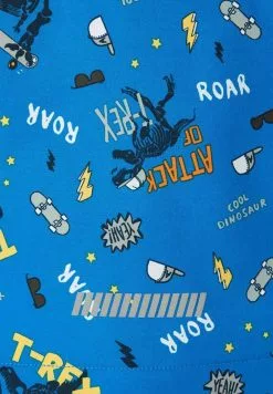 NAME IT Winterjas - Skydiver -Shirt Zacht Verkoop 1781512e20ed446cb82b8165804f768a