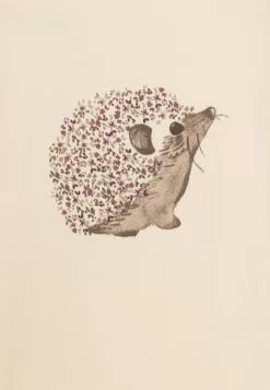 NAME IT Nbfkyra Box - Body - Buttercream 5 NAME IT Nbfkyra Box - Body - Buttercream -Shirt Zacht Verkoop 49be0491e64b46749be97af01e3ed263