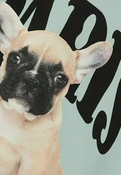 NAME IT Regular Fit - Sweater - Surf Spray -Shirt Zacht Verkoop 4f63ec6ae1eb47b2b65e197ff64c6d36