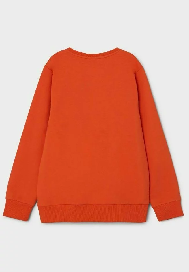 NAME IT Regular Fit - Sweater - Tigerlily 2 NAME IT Regular Fit - Sweater - Tigerlily - Afbeelding 2