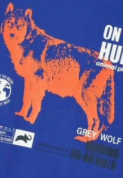 NAME IT Animal Planet - T-Shirt Print - Surf The Web -Shirt Zacht Verkoop 7f9e1c03971c4c37b16d3812c985ed62