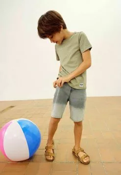 NAME IT Print - T-Shirt Print - Dried Sage