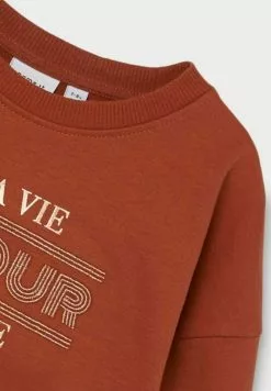 NAME IT Regular Fit - Sweater - Arabian Spice -Shirt Zacht Verkoop 94f4ad6c19d8480e8977b891c669f893