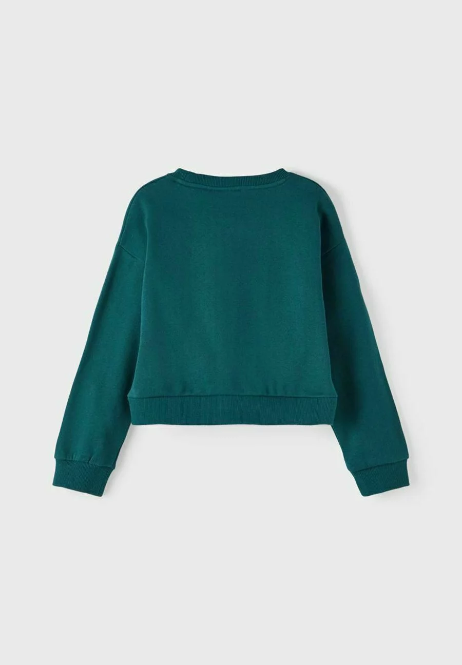 NAME IT Regular Fit - Sweater - Sea Moss 2 NAME IT Regular Fit - Sweater - Sea Moss - Afbeelding 2