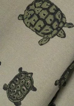 NAME IT Print - Sweater - Dried Sage -Shirt Zacht Verkoop ab437353d8c446ff8ba556f1a748e313