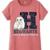 NAME IT Harry Potter - T-Shirt Print - Mauvewood