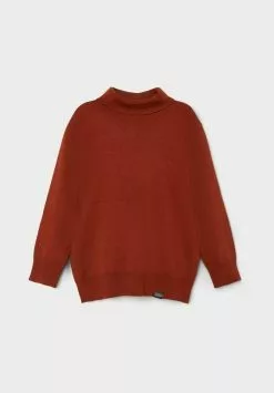 NAME IT Rollkragen - Trui - Arabian Spice -Shirt Zacht Verkoop c02585f143154c9a9c3c4a2934a70318