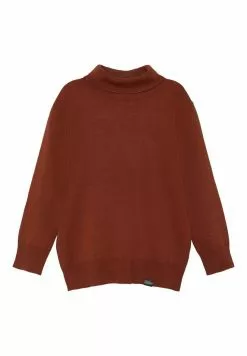 NAME IT Rollkragen - Trui - Arabian Spice
