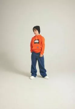 NAME IT Regular Fit - Hoodie - Tigerlily