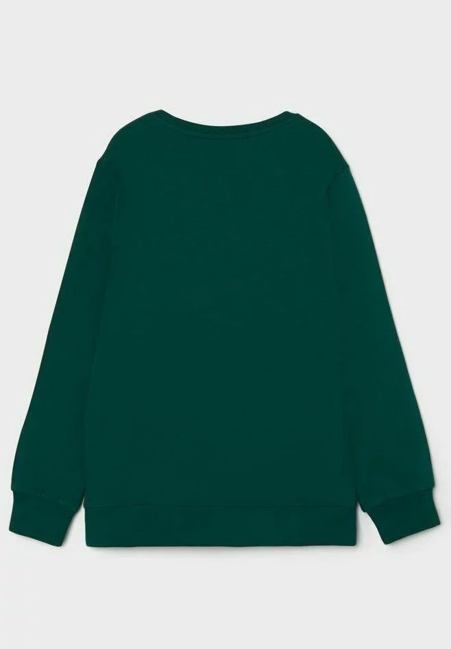 NAME IT Regular Fit - Sweater - Forest Biome 2 NAME IT Regular Fit - Sweater - Forest Biome - Afbeelding 2