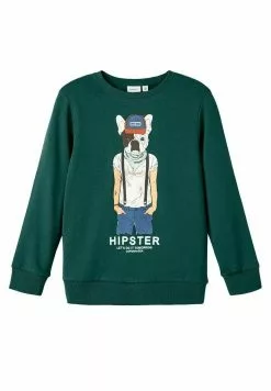 NAME IT Print - Sweater - Forest Biome